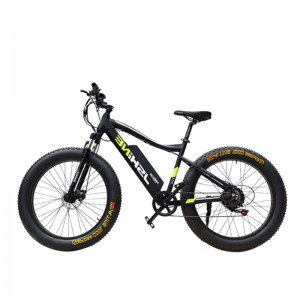 S1-X2 EBIKE